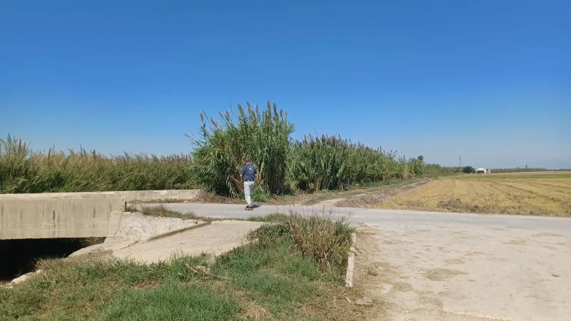 Día 9